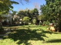 מתווך מומחה לבתי יוקרה.