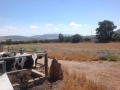 Farm for sale in Moshav in Northern Israel.