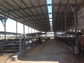 Farm for sale in Galilee in Moshav in Northern Israel.